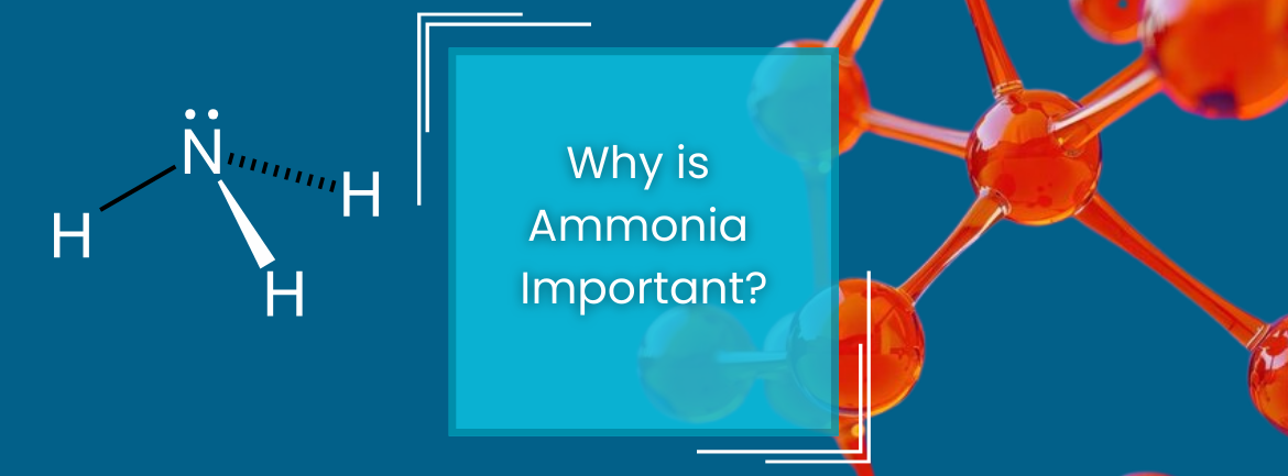 𝐔𝐧𝐝𝐞𝐫𝐬𝐭𝐚𝐧𝐝𝐢𝐧𝐠 𝐀𝐦𝐦𝐨𝐧𝐢𝐚 𝐢𝐧 𝐒𝐚𝐥𝐭𝐰𝐚𝐭𝐞𝐫 𝐓𝐚𝐧𝐤𝐬: 𝐄𝐬𝐬𝐞𝐧𝐭𝐢𝐚𝐥 𝐆𝐮𝐢𝐝𝐞 𝐟𝐨𝐫 𝐌𝐚𝐫𝐢𝐧𝐞 𝐇𝐨𝐛𝐛𝐲𝐢𝐬𝐭𝐬