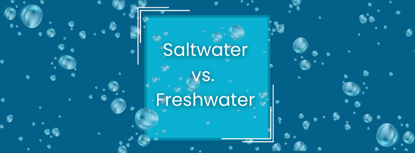 Learn About the Difference Between Freshwater and Saltwater Aquariums