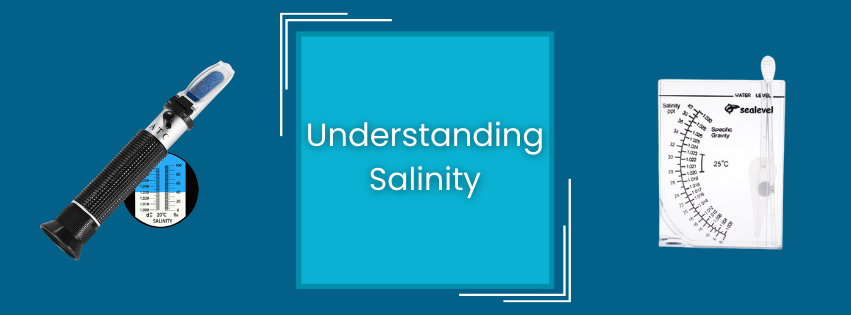Understanding Salinity: A Key to Successful Reef Tanks