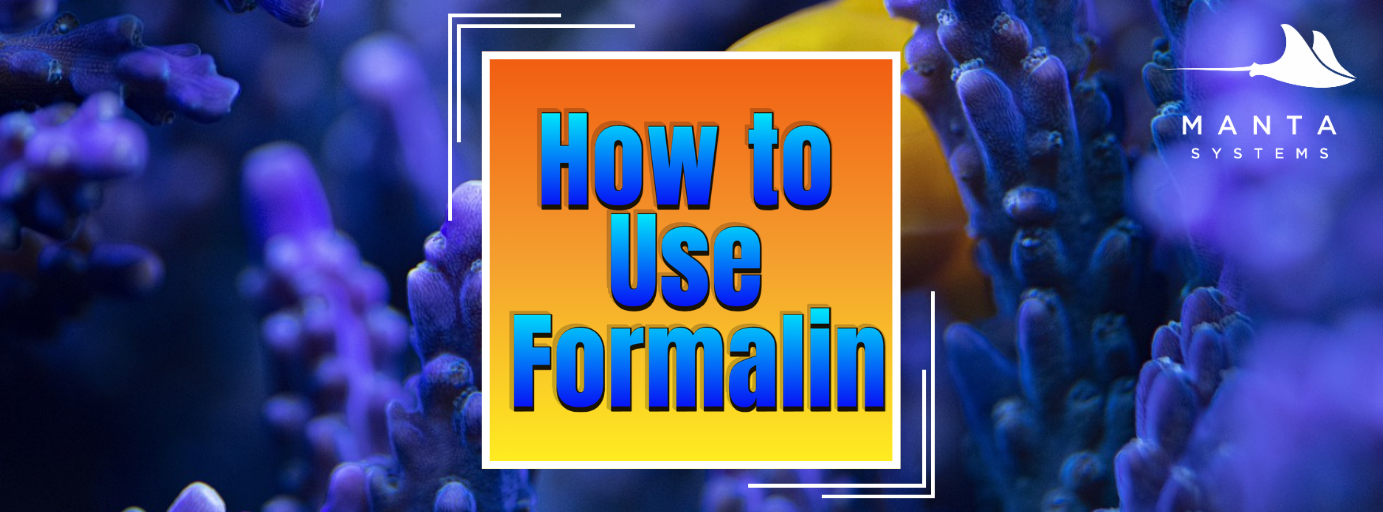 𝐌𝐚𝐬𝐭𝐞𝐫𝐢𝐧𝐠 𝐅𝐨𝐫𝐦𝐚𝐥𝐢𝐧 𝐓𝐫𝐞𝐚𝐭𝐦𝐞𝐧𝐭𝐬: 𝐀 𝐂𝐨𝐦𝐩𝐫𝐞𝐡𝐞𝐧𝐬𝐢𝐯𝐞 𝐆𝐮𝐢𝐝𝐞 𝐟𝐨𝐫 𝐄𝐟𝐟𝐞𝐜𝐭𝐢𝐯𝐞 𝐌𝐚𝐫𝐢𝐧𝐞 𝐅𝐢𝐬𝐡 𝐂𝐚𝐫𝐞