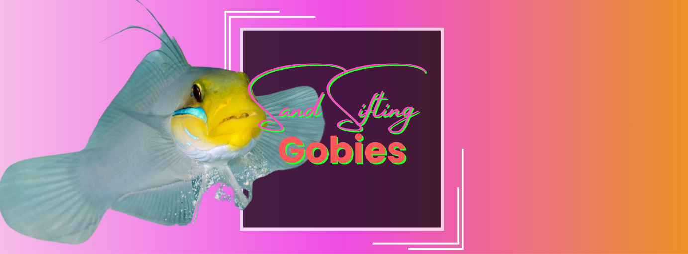 𝐊𝐞𝐞𝐩𝐢𝐧’ 𝐈𝐭 𝐂𝐥𝐞𝐚𝐧: 𝐀 𝐃𝐞𝐞𝐩 𝐃𝐢𝐯𝐞 𝐢𝐧𝐭𝐨 𝐒𝐚𝐧𝐝-𝐒𝐢𝐟𝐭𝐢𝐧𝐠 𝐆𝐨𝐛𝐢𝐞𝐬 𝐟𝐨𝐫 𝐑𝐞𝐞𝐟 𝐓𝐚𝐧𝐤𝐬