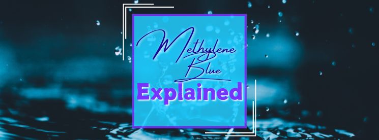 Mastering Methylene Blue: A Complete Guide to Quarantine Tank Treatments for Healthy Saltwater Fish