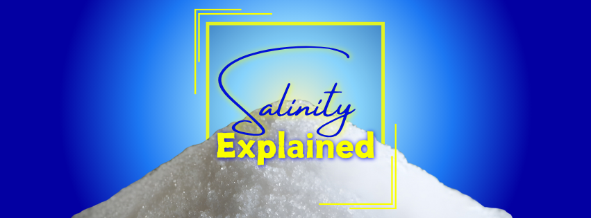 𝐔𝐧𝐝𝐞𝐫𝐬𝐭𝐚𝐧𝐝𝐢𝐧𝐠 𝐒𝐚𝐥𝐢𝐧𝐢𝐭𝐲: 𝐓𝐡𝐞 𝐅𝐨𝐮𝐧𝐝𝐚𝐭𝐢𝐨𝐧 𝐨𝐟 𝐚 𝐒𝐮𝐜𝐜𝐞𝐬𝐬𝐟𝐮𝐥 𝐑𝐞𝐞𝐟 𝐓𝐚𝐧𝐤