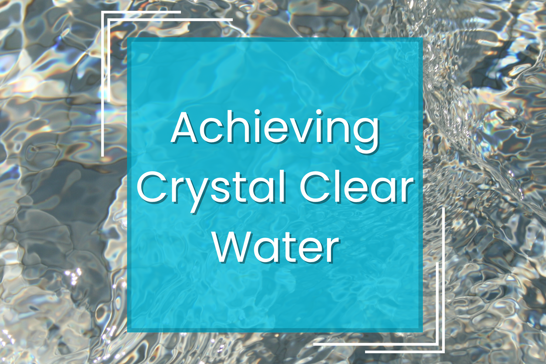Achieving Crystal Clear Water — Manta Systems Reef Library