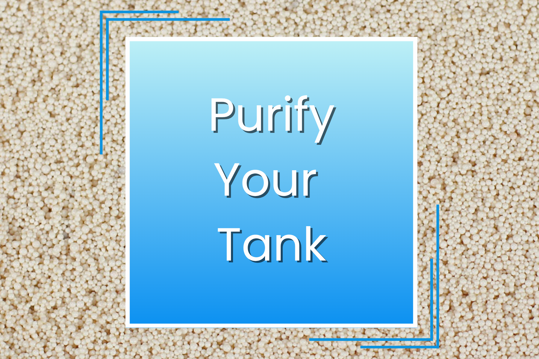 Purify Your Tank: Purigen — Manta Systems Reef Library