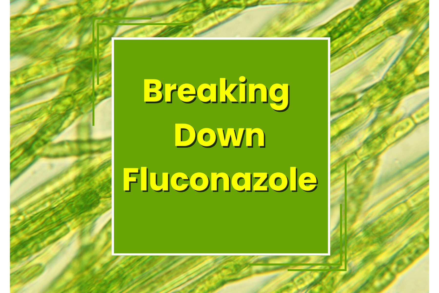 Breaking Down Fluconazole — Manta Systems Reef Library