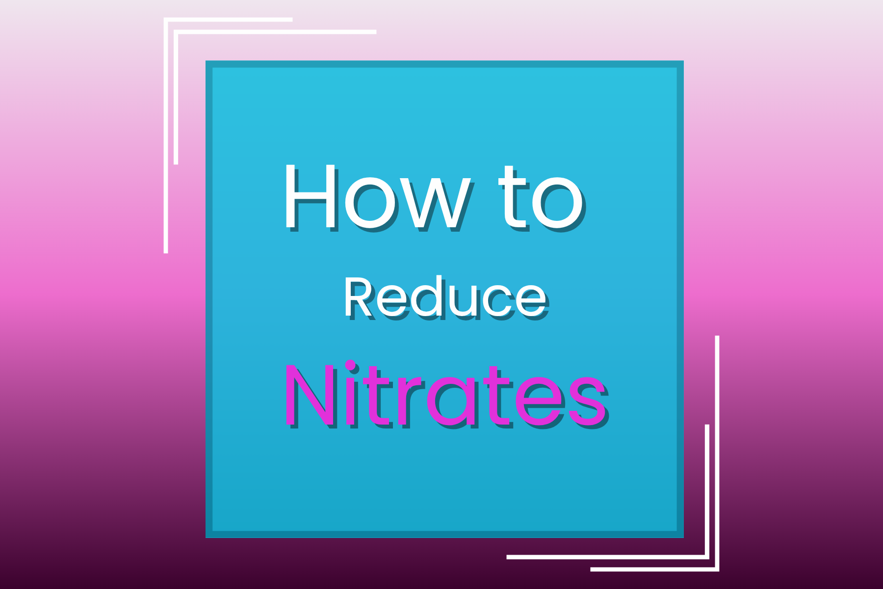 How to Reduce Nitrates — Manta Systems Reef Library