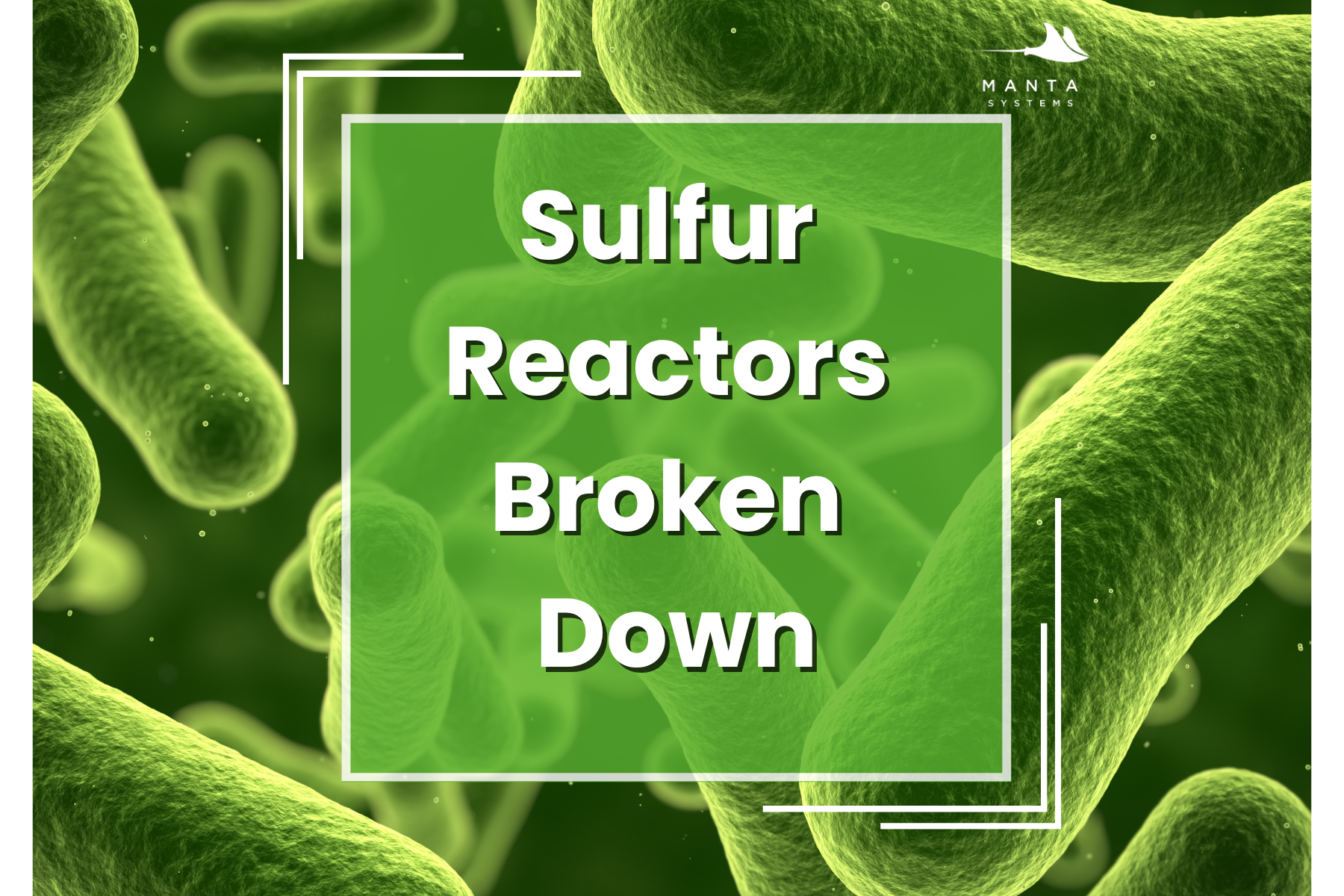 Sulfur Reactors Broken Down — Manta Systems Reef Library