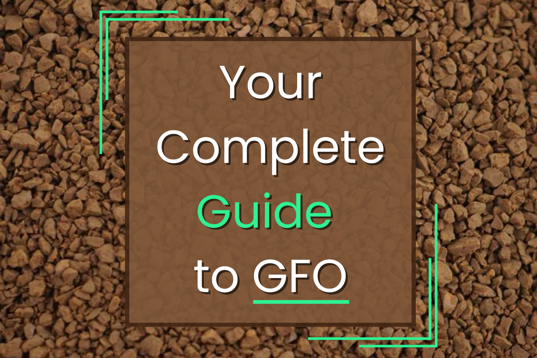 Your Complete Guide to GFO — Manta Systems Reef Library