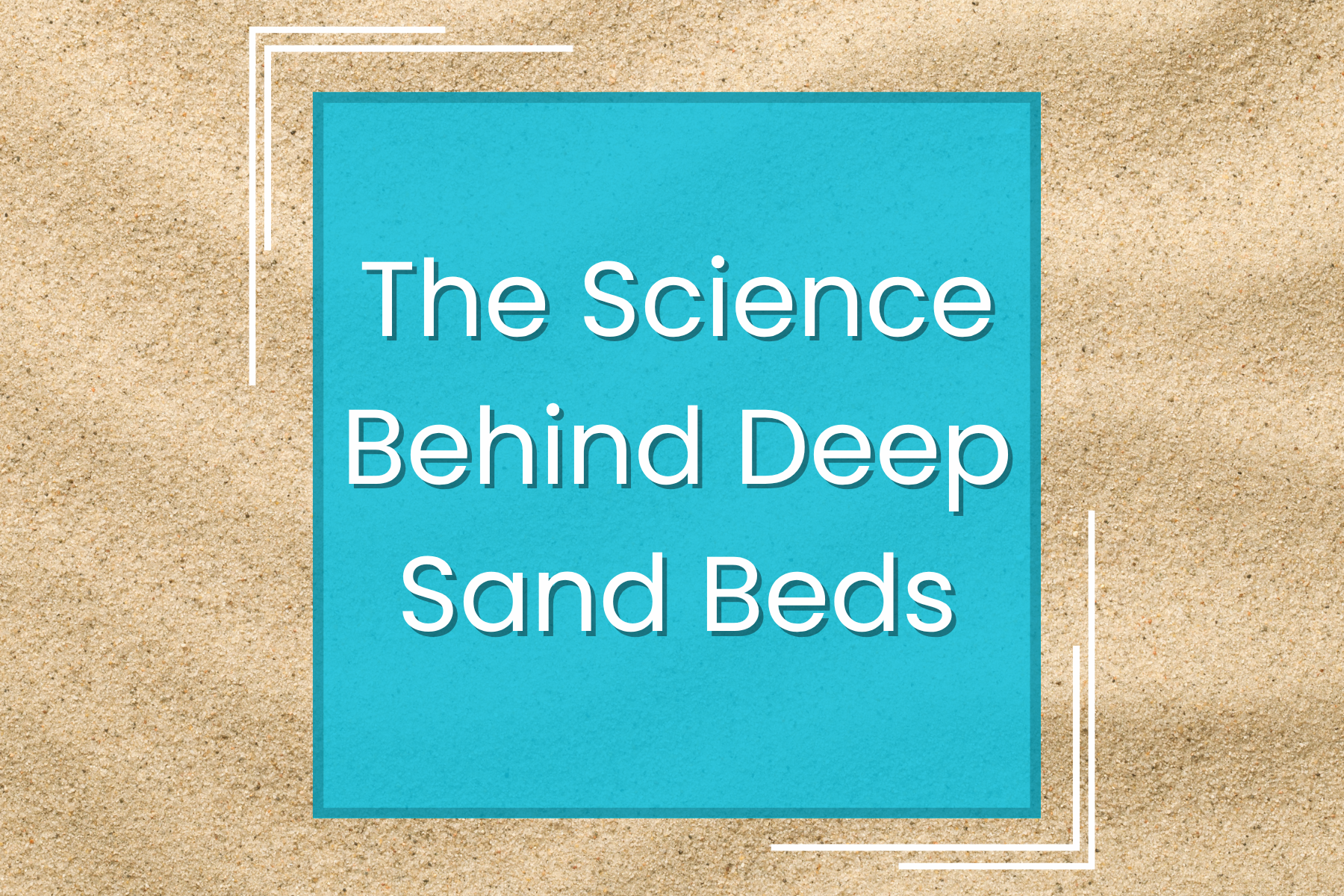 The Science Behind Deep Sand Beds — Manta Systems Reef Library