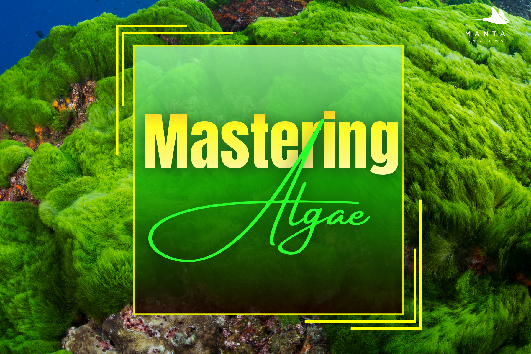 Mastering Algae — Manta Systems Reef Library