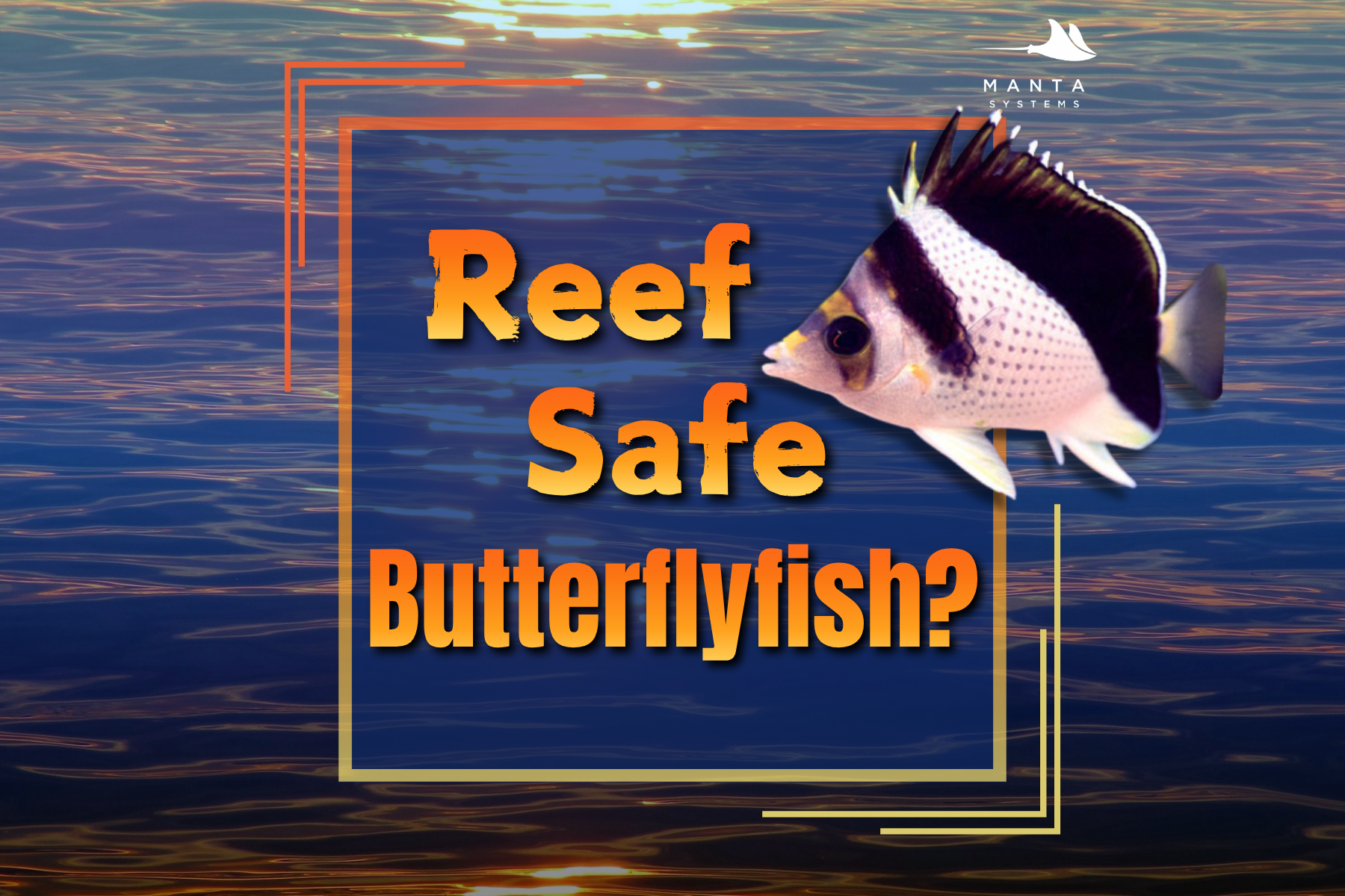 Reef Safe Butterflyfish — Manta Systems Reef Library