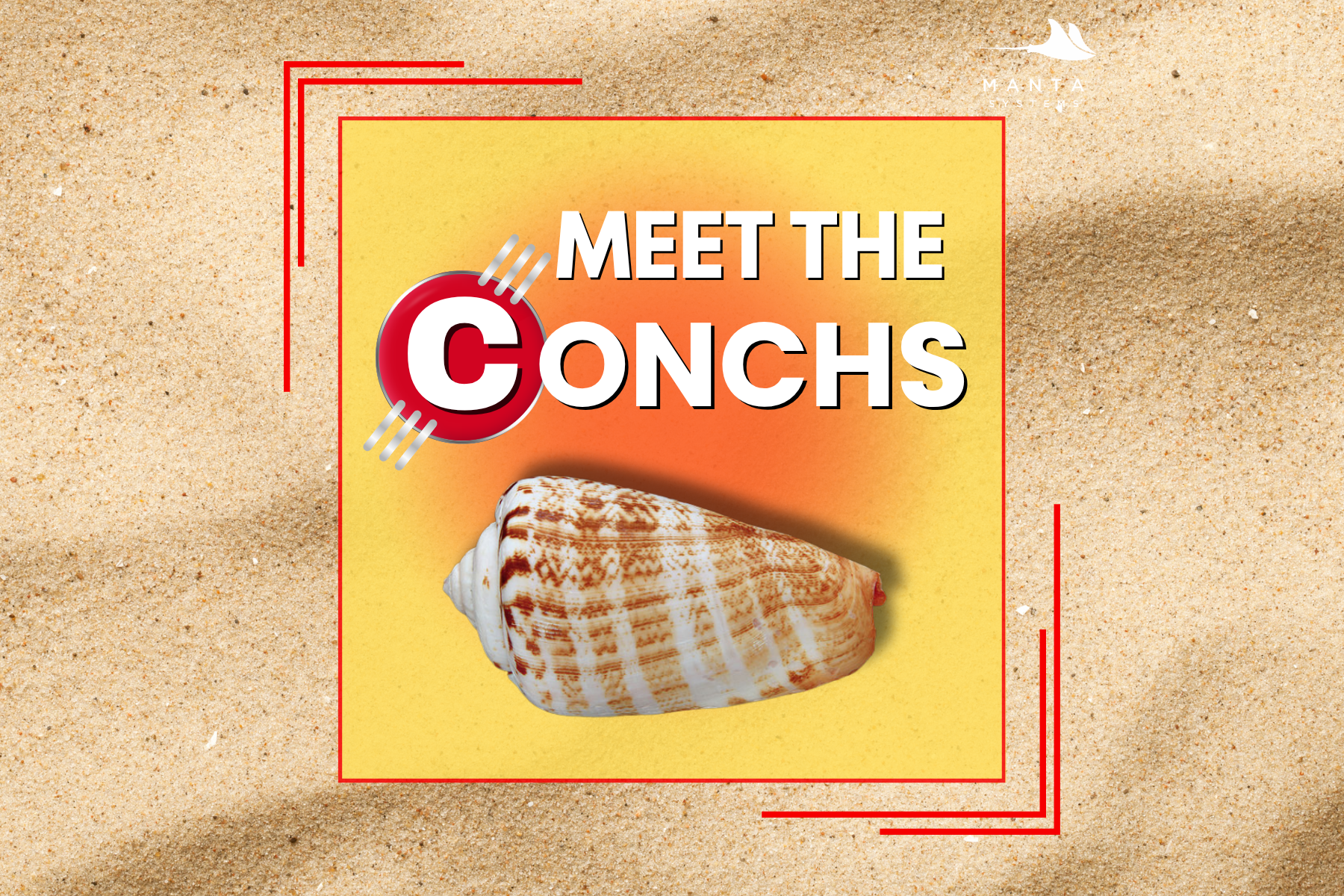Meet the Conchs