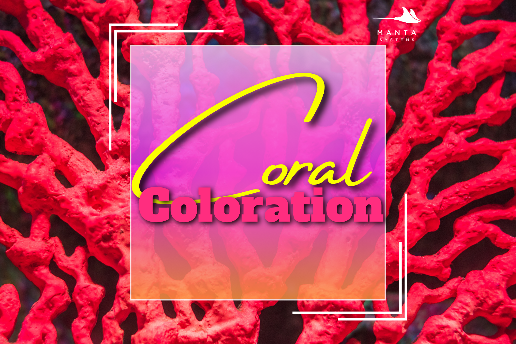 Coral Coloration