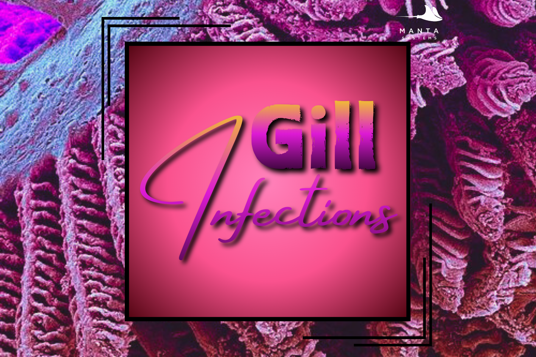 Gill Infections — Manta Systems Reef Library