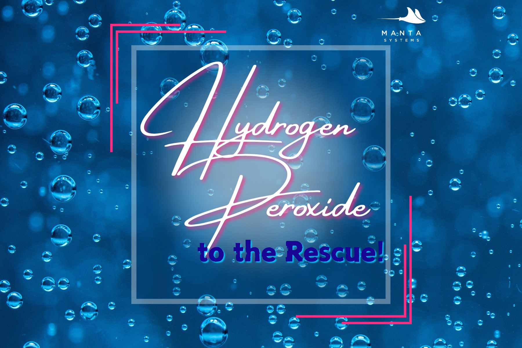 Hydrogen peroxide treatments for saltwater fish