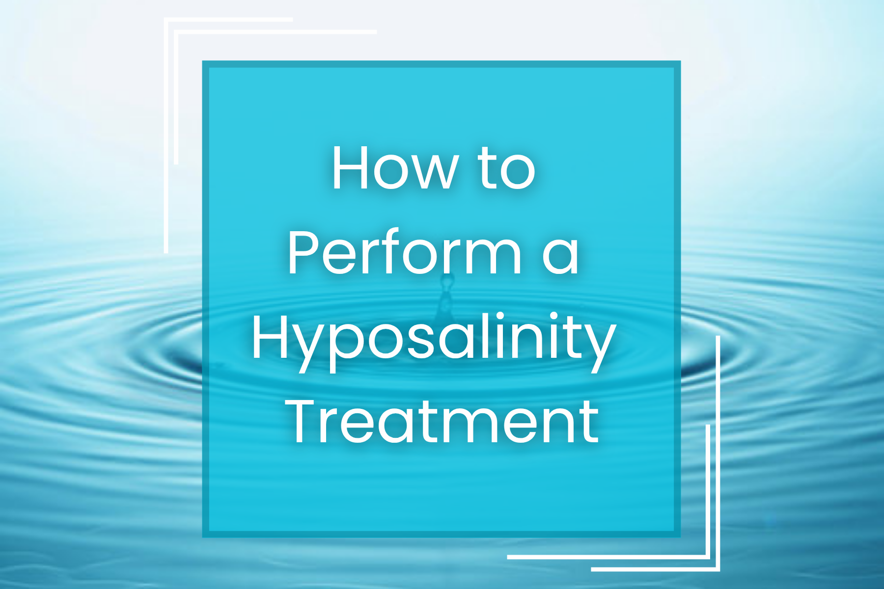 How to Perform a Hyposalinity Treatment
