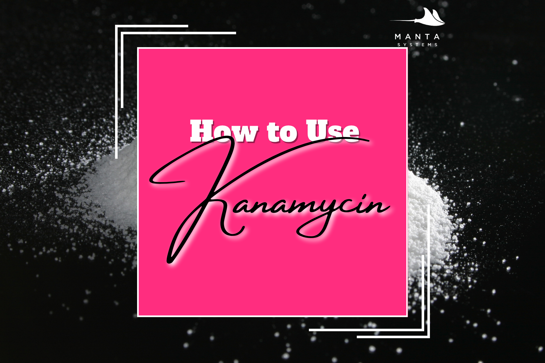 How to Use Kanamycin