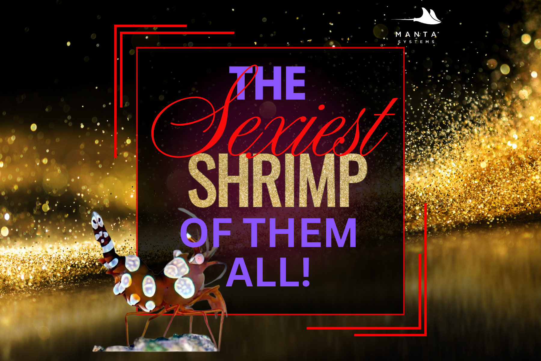 The Sexiest Shrimp of Them All