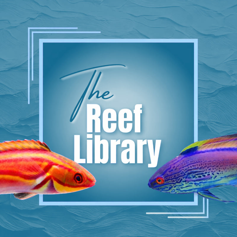 Two colorful fish with 'The Reef Library' text on a blue background